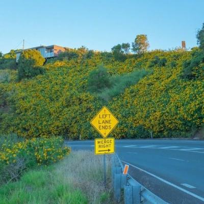 博鱼官方体育登录入口